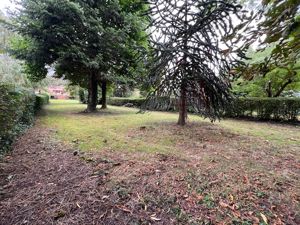 Photo 38- click for photo gallery